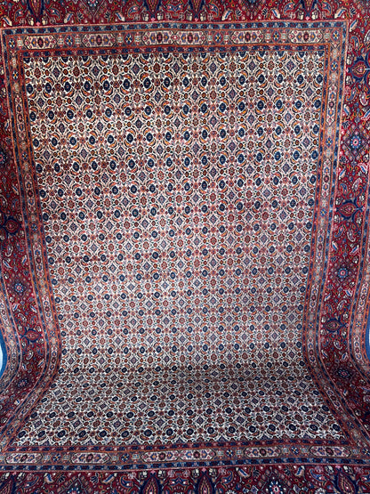 Handmade Persian Muod 316 x 212 cm | 10.37 x 6 ft