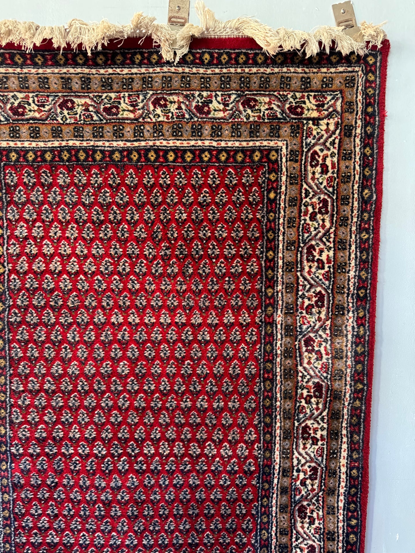 Handmade Oriental Rug 5.3 x 3 ft