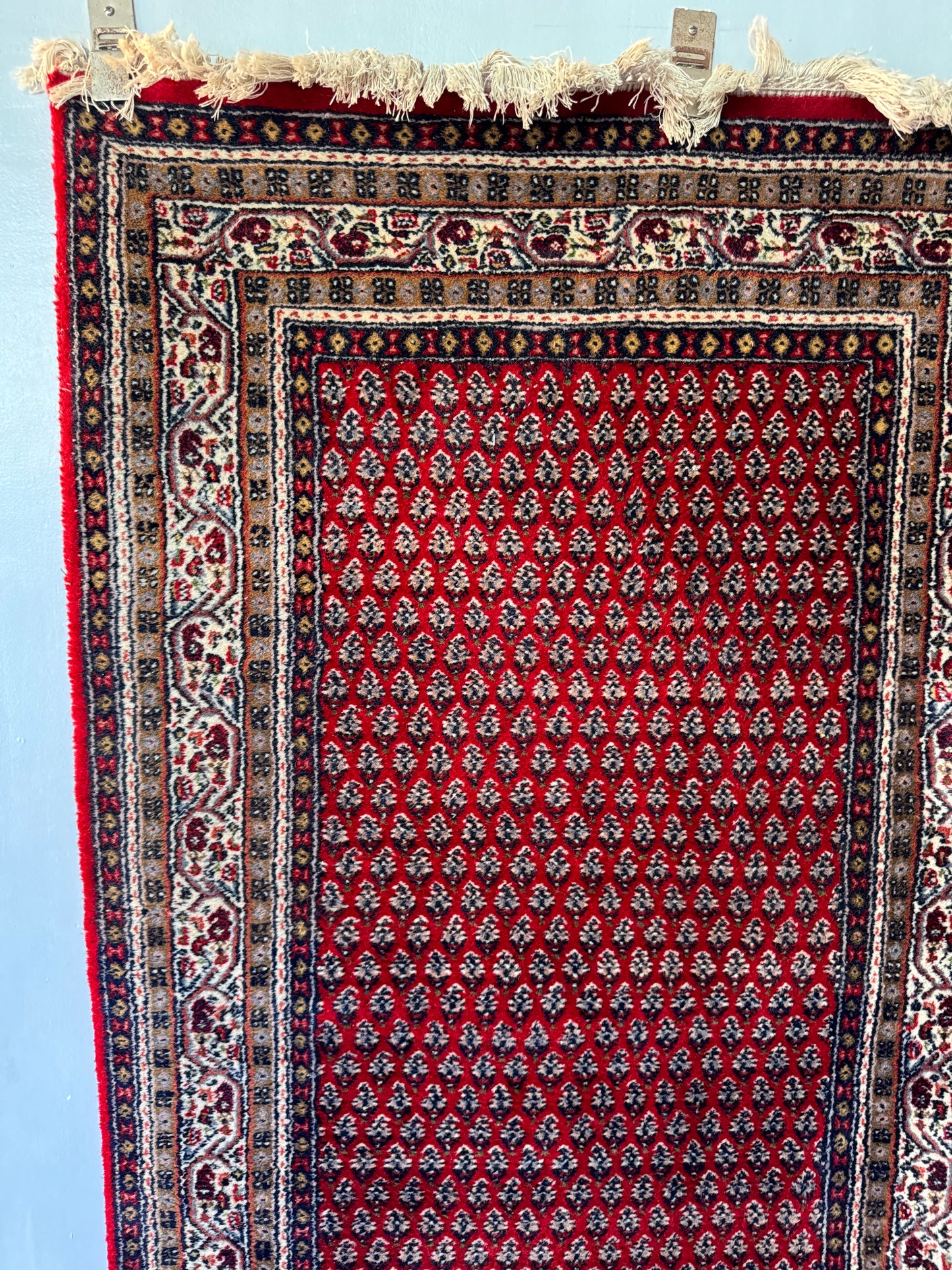 Handmade Oriental Rug 5.3 x 3 ft