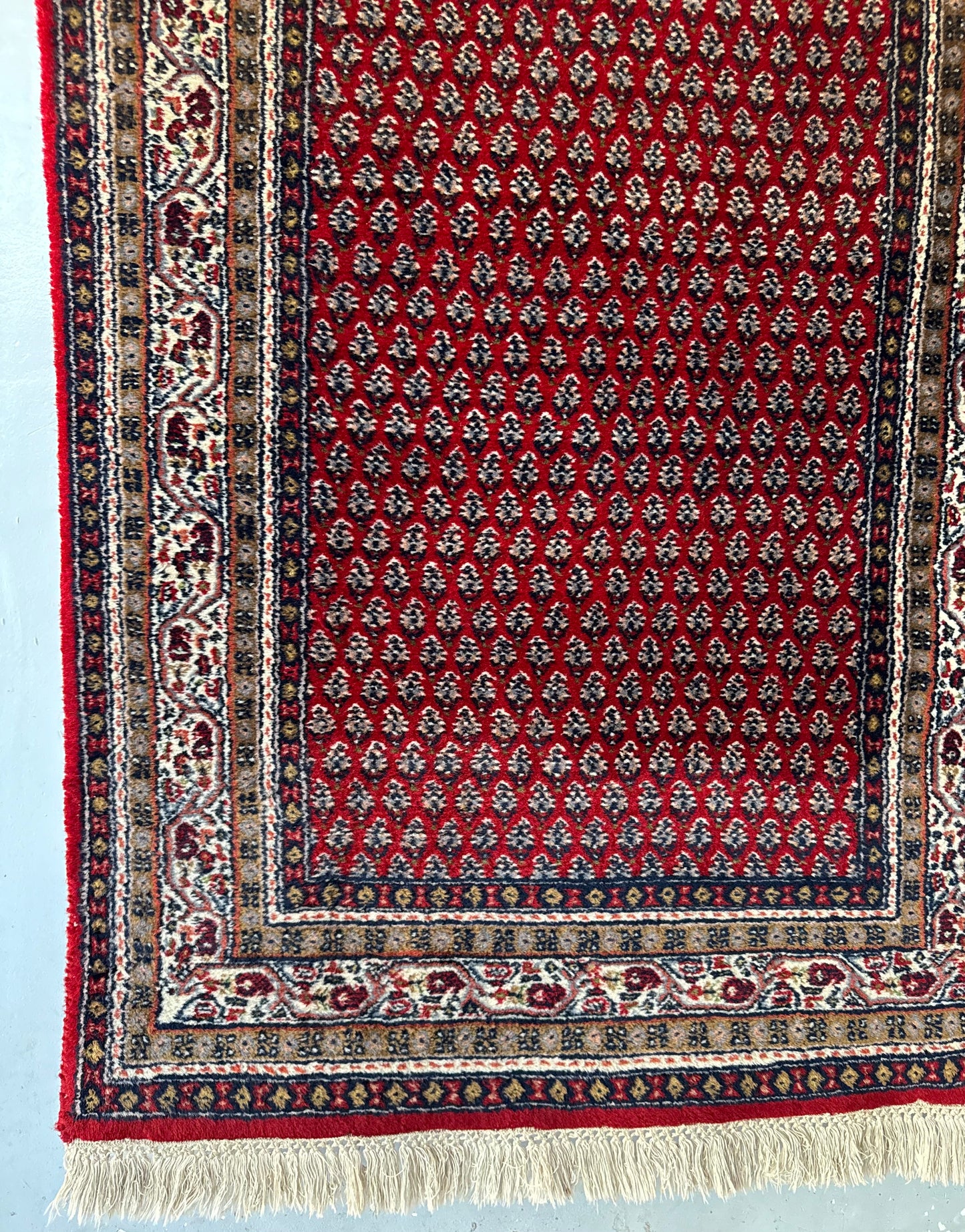 Handmade Oriental Rug 5.3 x 3 ft